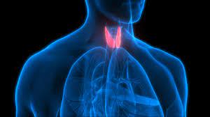 Am I At Risk of Hyperthyroidism?