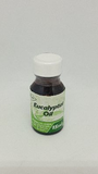 Eucalyptus Oil 15ml